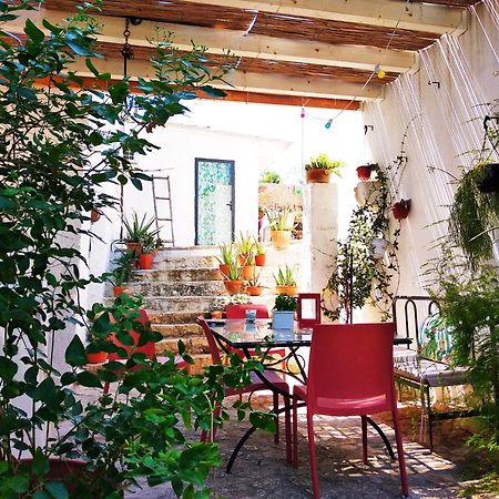 Masseria Delle Rose 1760 アレッサーノ エクステリア 写真