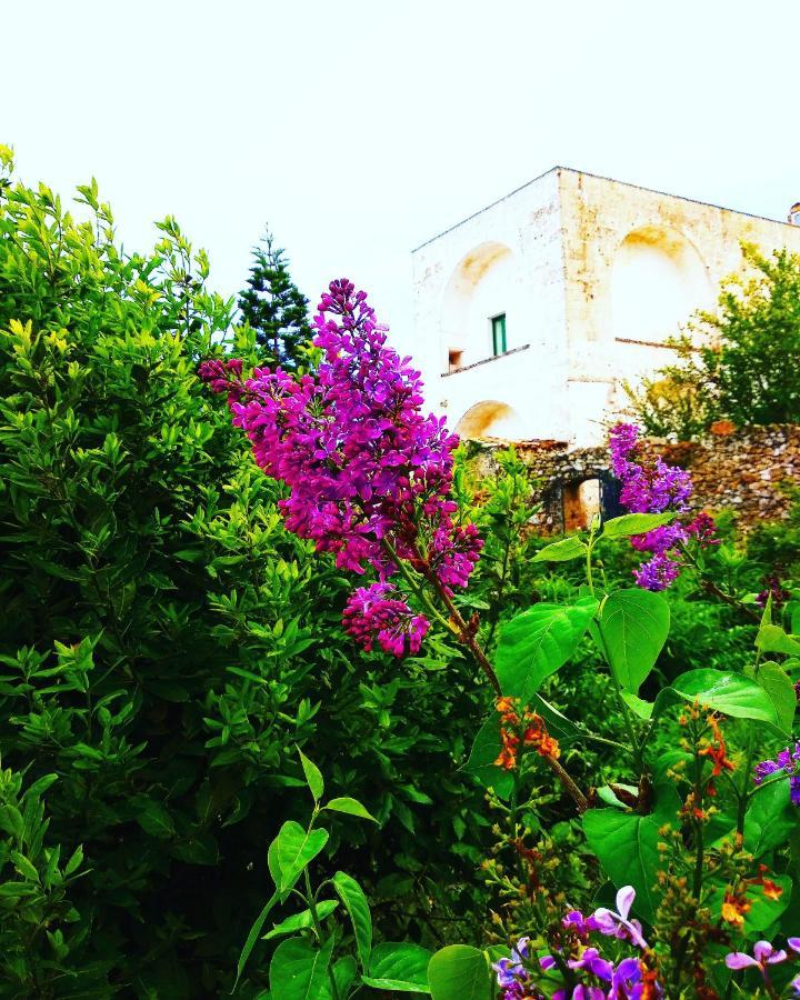 Masseria Delle Rose 1760 アレッサーノ エクステリア 写真