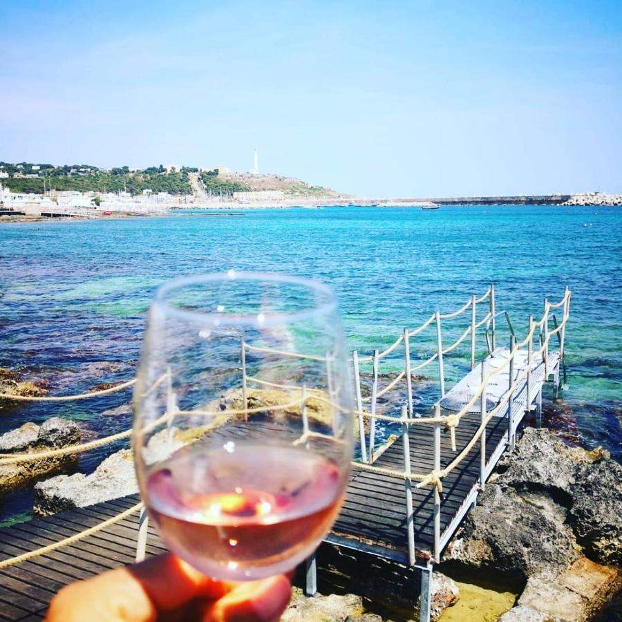 Masseria Delle Rose 1760 アレッサーノ エクステリア 写真