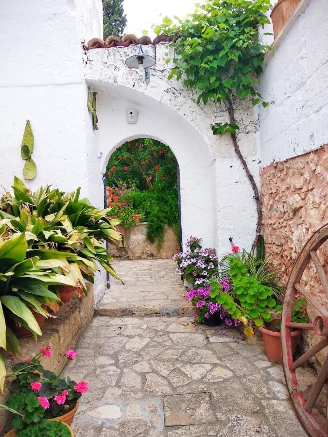 Masseria Delle Rose 1760 アレッサーノ エクステリア 写真