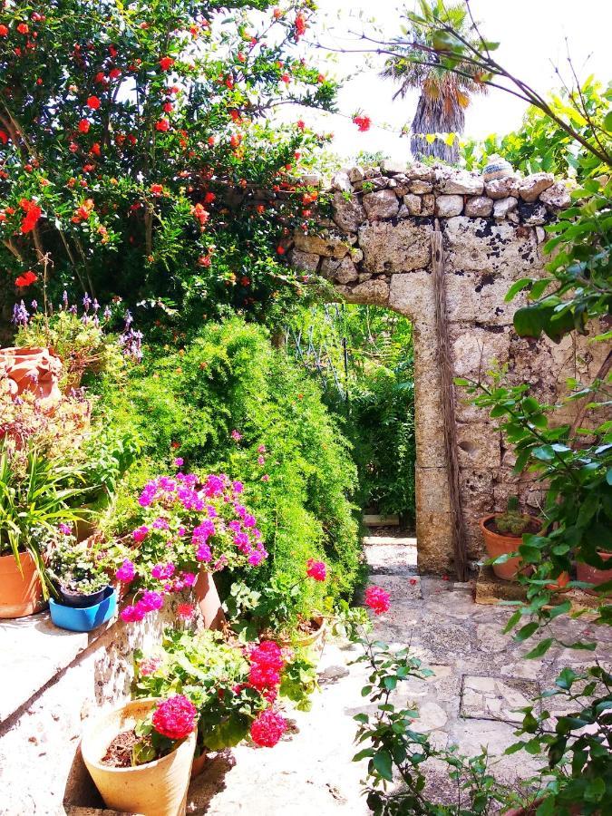 Masseria Delle Rose 1760 アレッサーノ エクステリア 写真