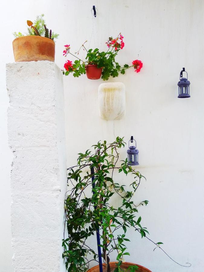 Masseria Delle Rose 1760 アレッサーノ エクステリア 写真