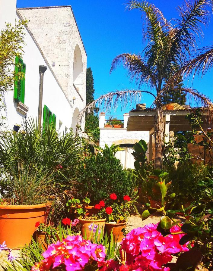 Masseria Delle Rose 1760 アレッサーノ エクステリア 写真