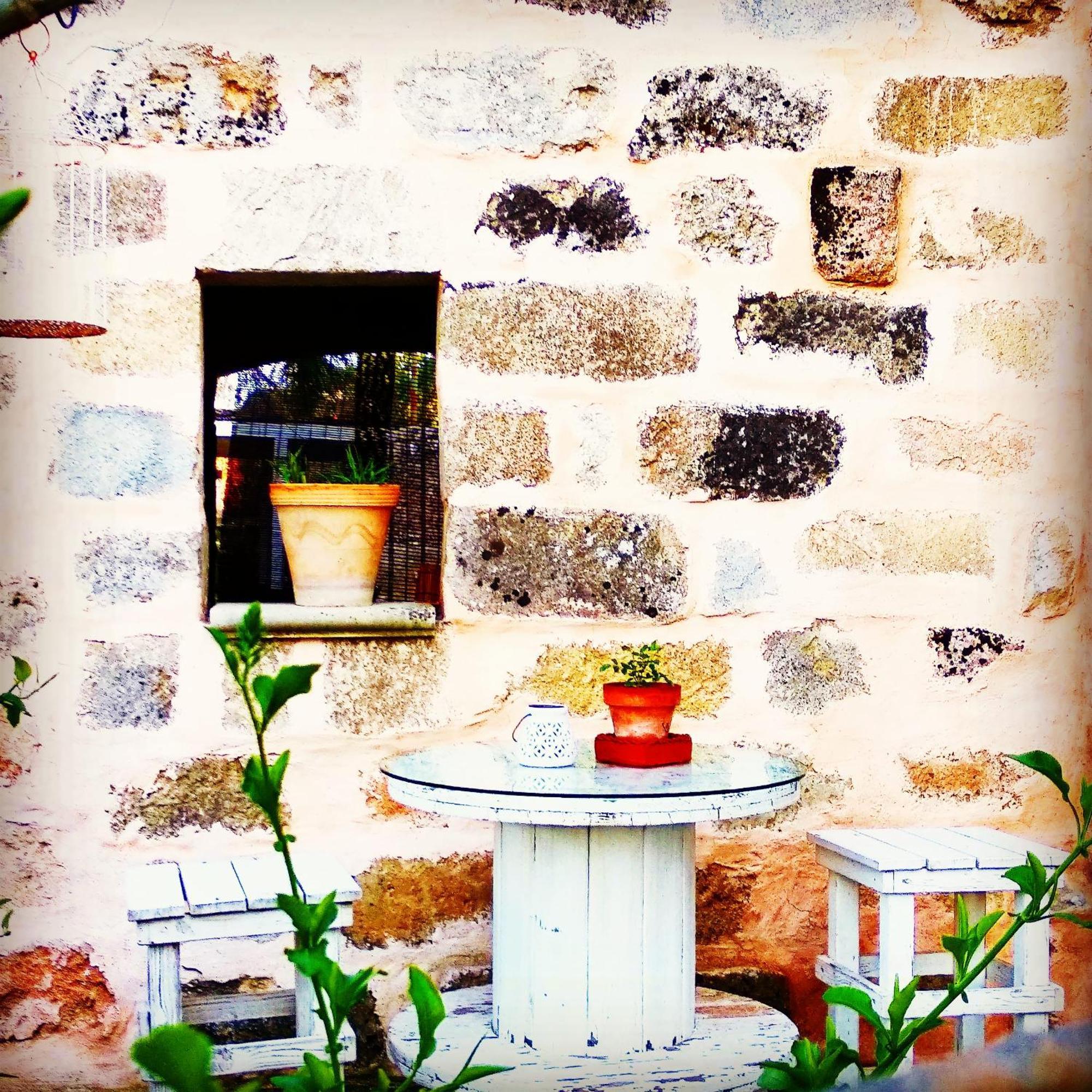 Masseria Delle Rose 1760 アレッサーノ エクステリア 写真