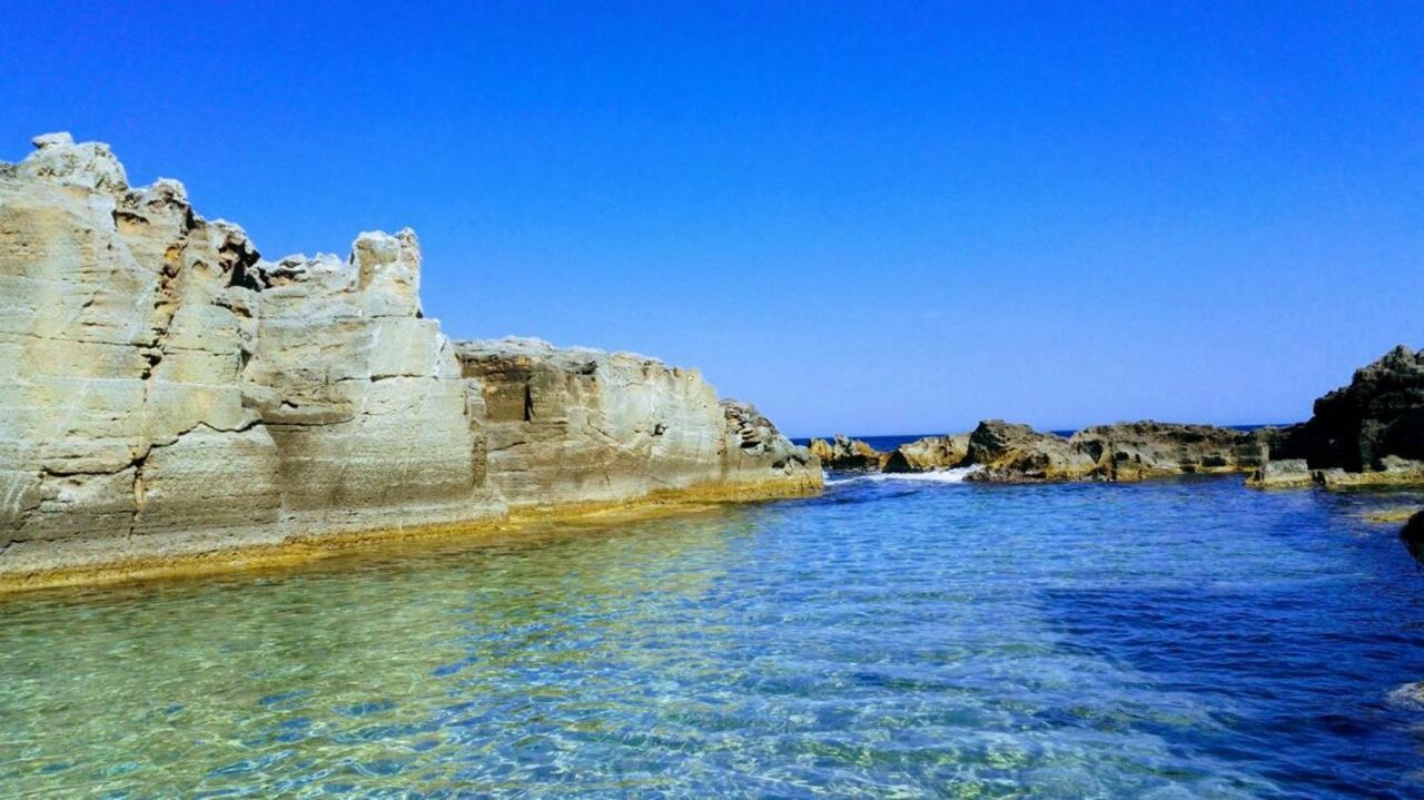 Masseria Delle Rose 1760 アレッサーノ エクステリア 写真